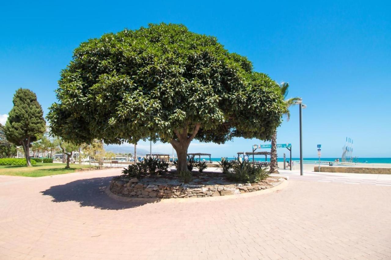 Fabuloso Apartamento A 50M De Playa Centrico توري ذيل مار المظهر الخارجي الصورة