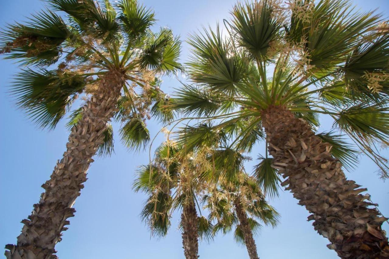 Fabuloso Apartamento A 50M De Playa Centrico توري ذيل مار المظهر الخارجي الصورة